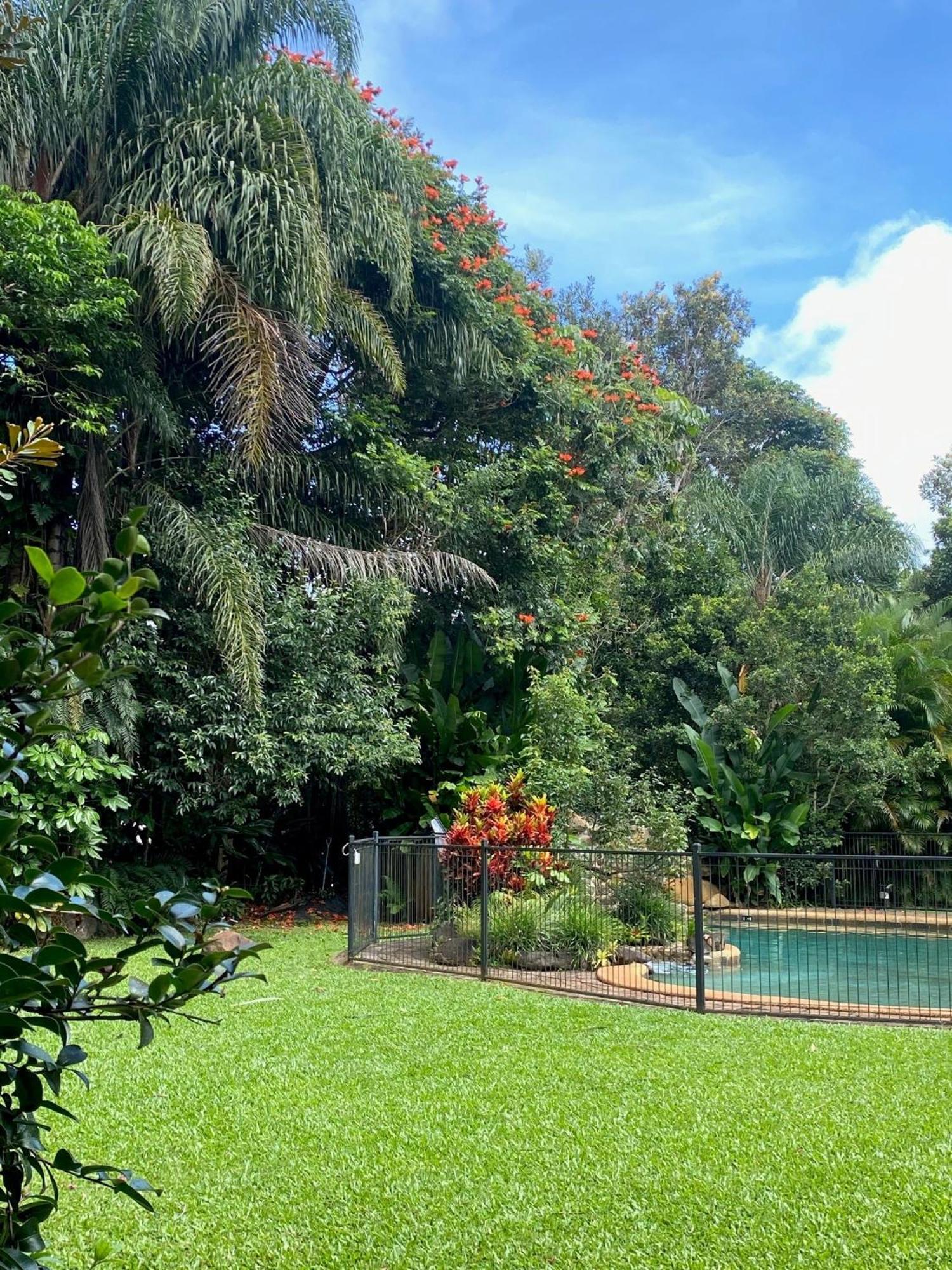Malanda Lodge מראה חיצוני תמונה